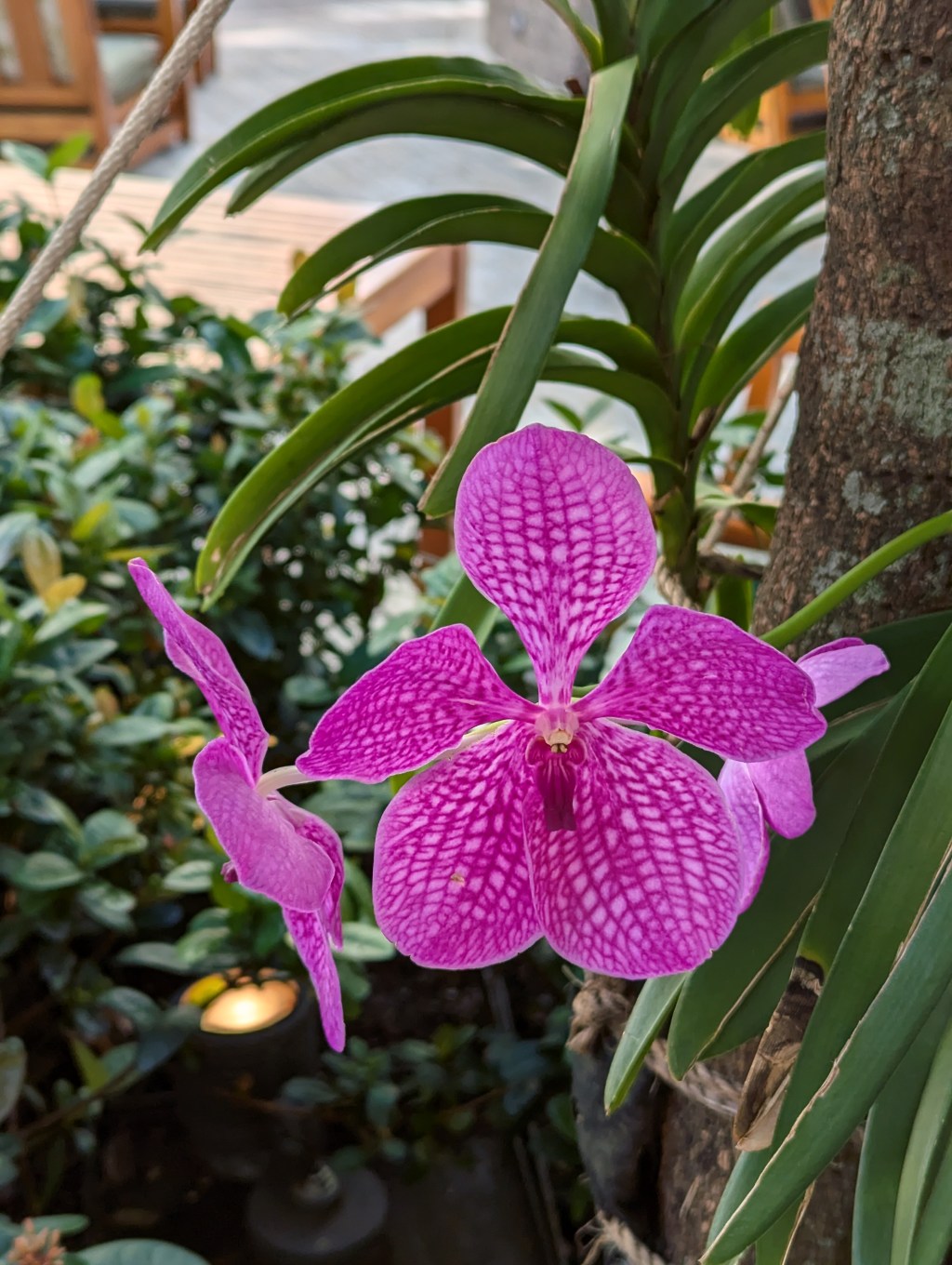 Weekly Quotation: July, 23rd, 2025: The Choice We Need to&nbsp;Make