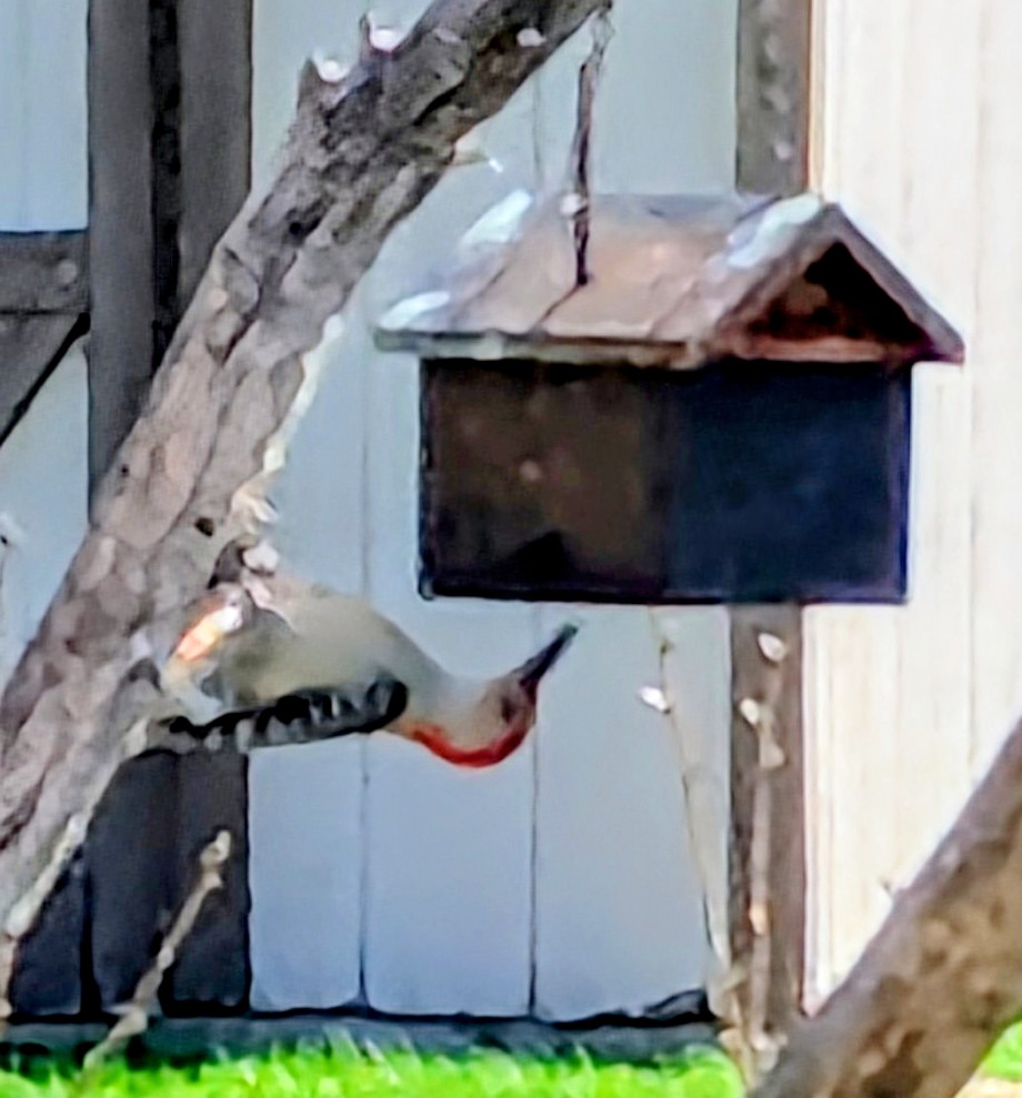 A Lifetime of&nbsp;Learning