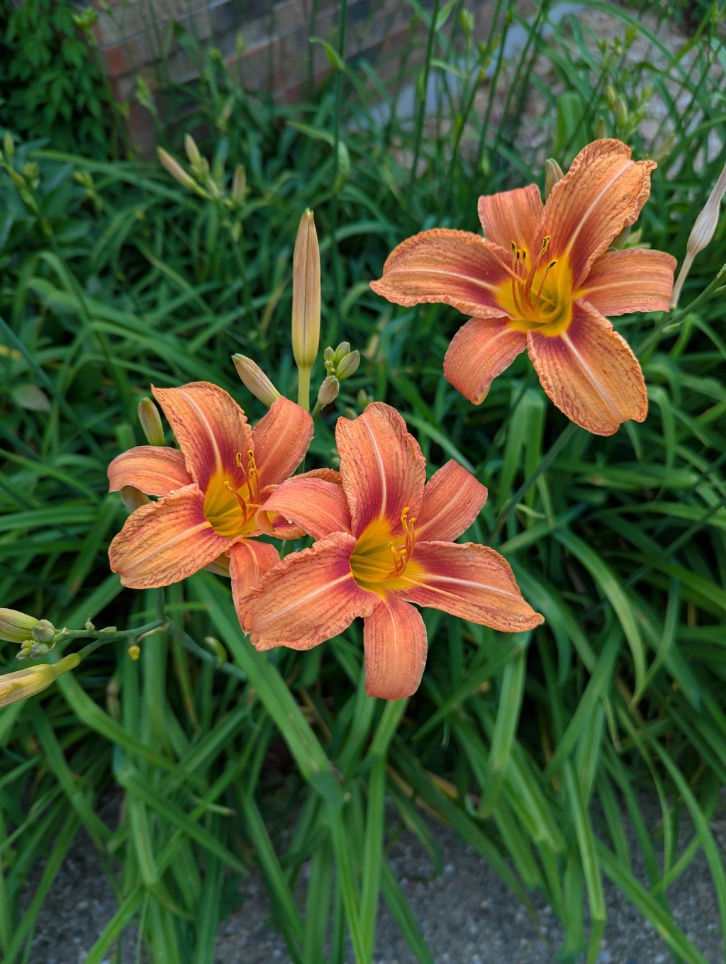 Introducing Essential Skills: Hard Skills vs. Soft&nbsp;Skills