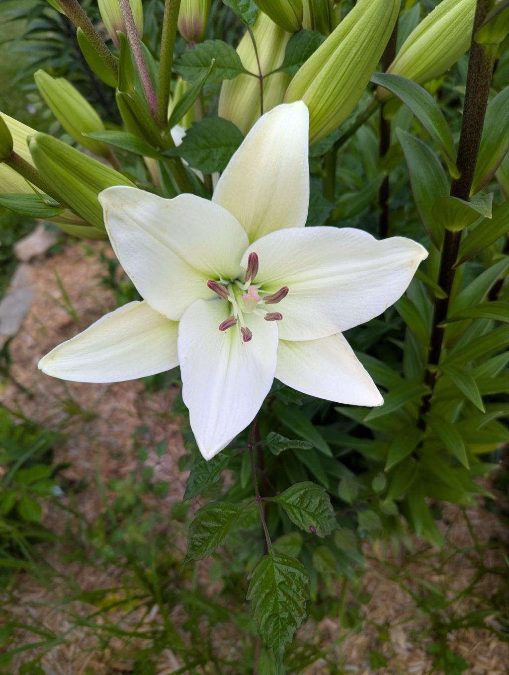 Learning from Mistakes