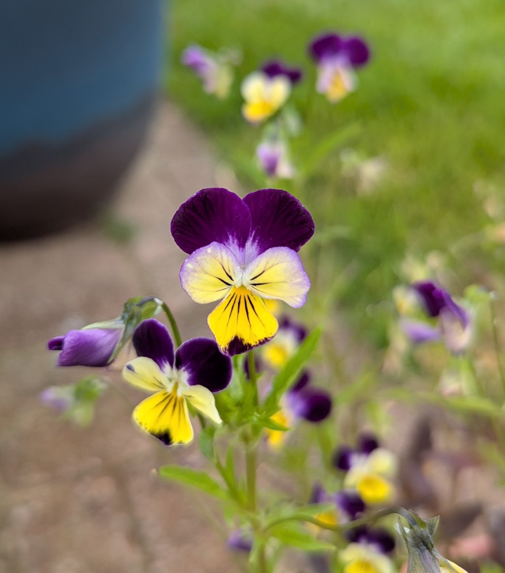 Navigating Expectations for Personal&nbsp;Growth