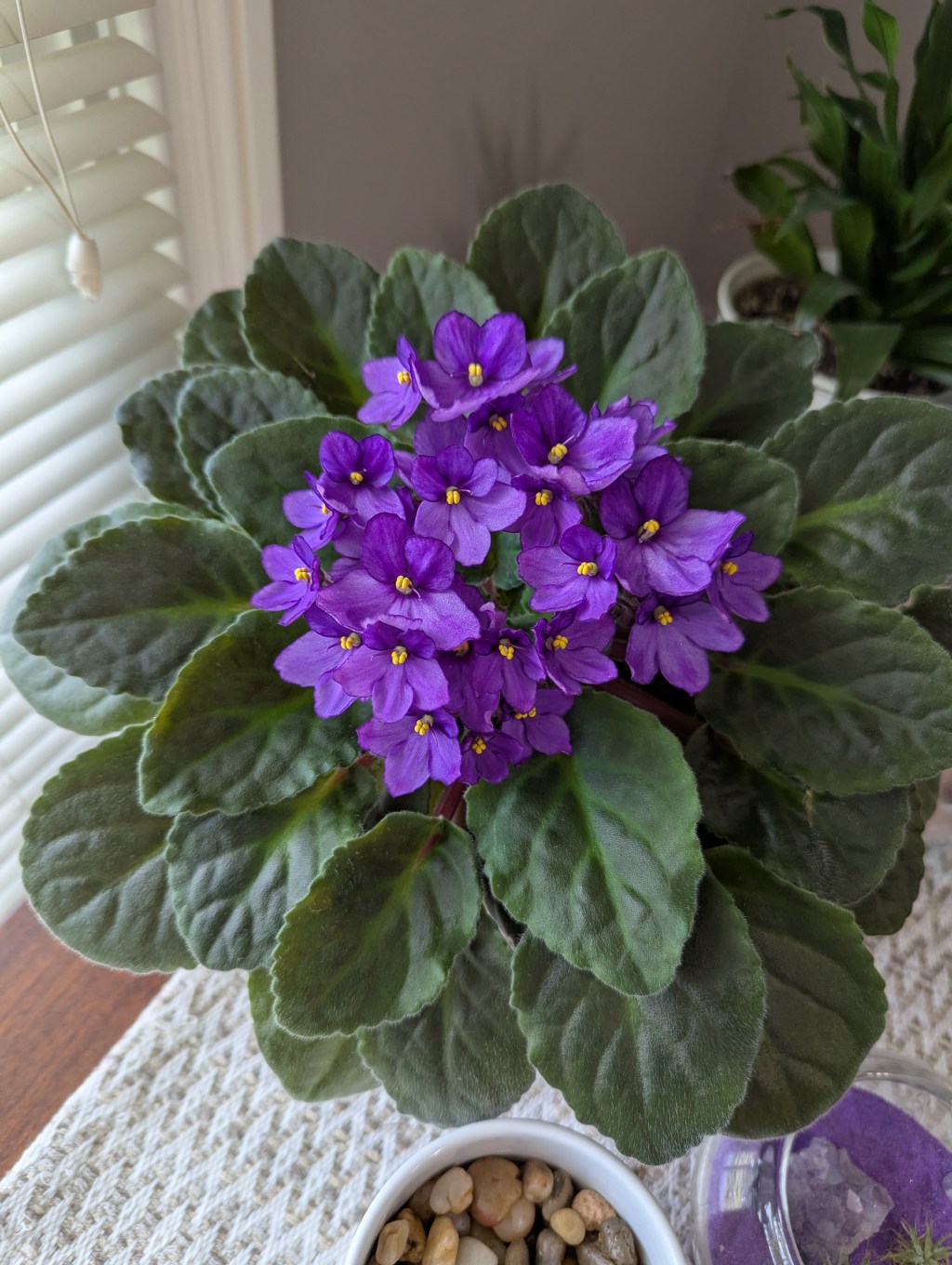 Becoming Your Own Personal Growth&nbsp;Architect