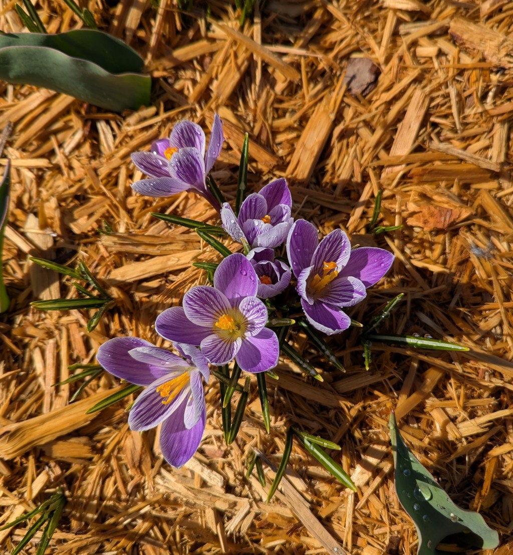 Weekly Quotation: August 26, 2025: The Smartest Person In The Room&nbsp;Complex