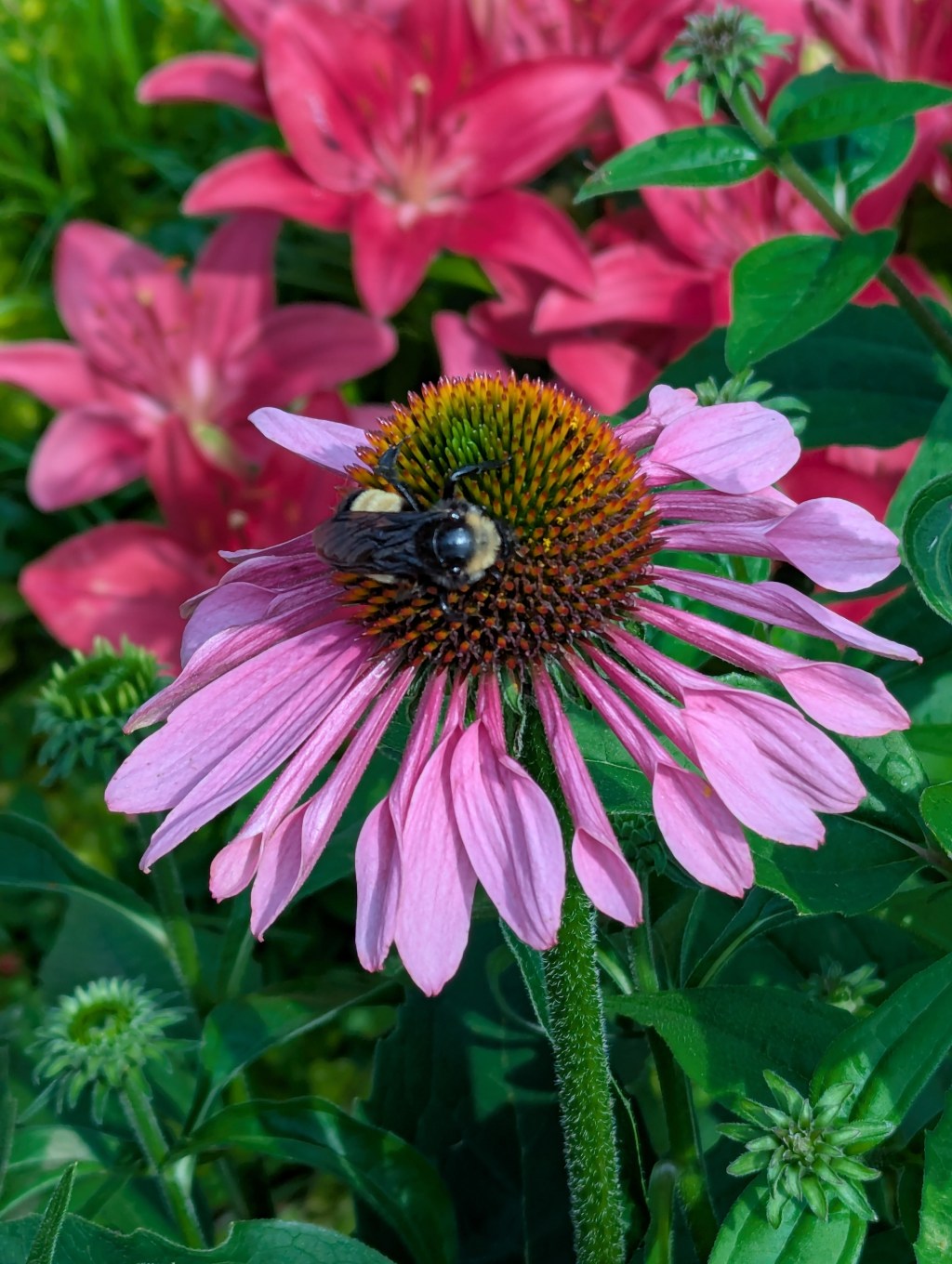 Unlocking Your Personal Growth: Motivations and&nbsp;Expectations