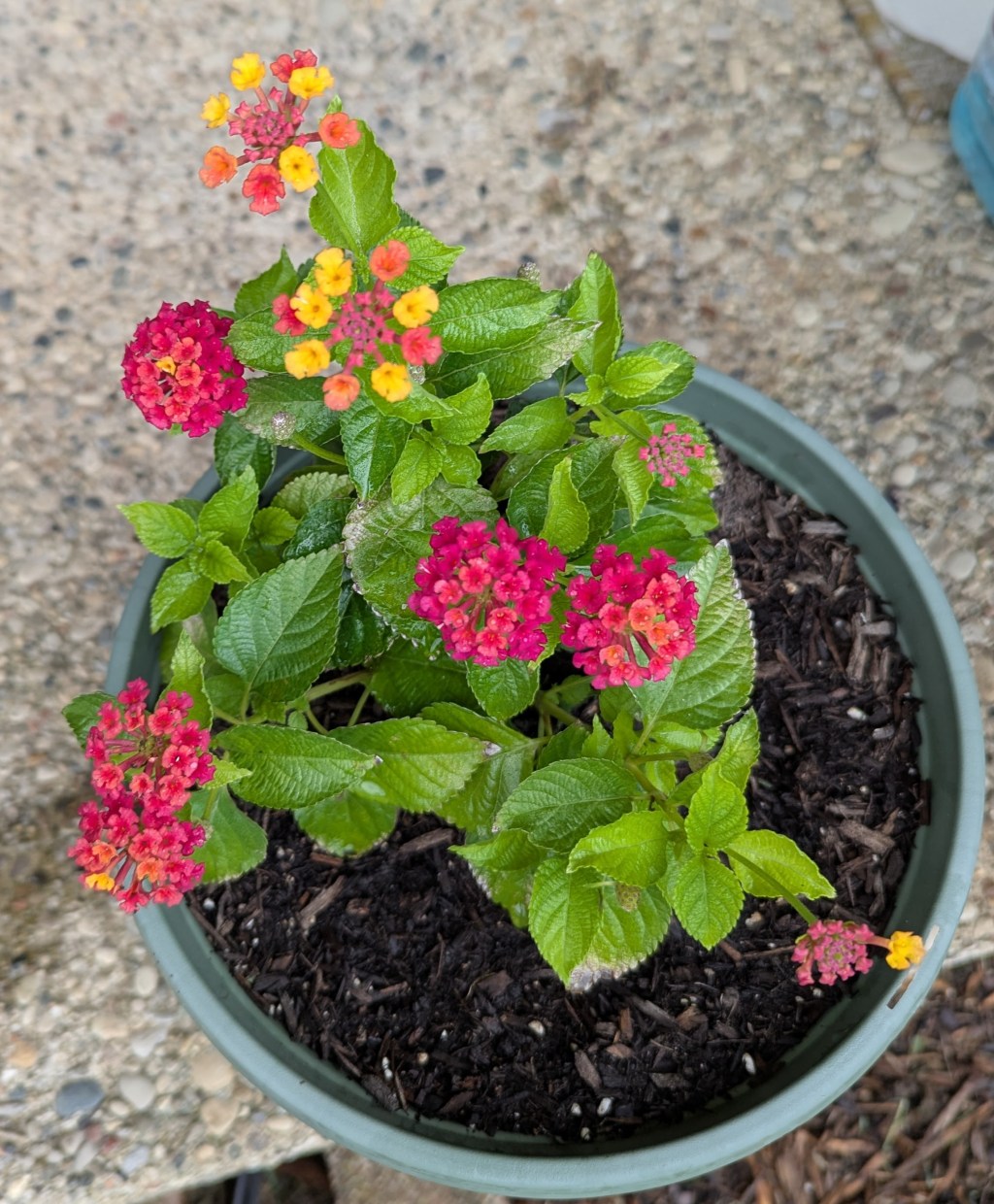 The Chemistry of Personal Growth: A Campfire&nbsp;Analogy