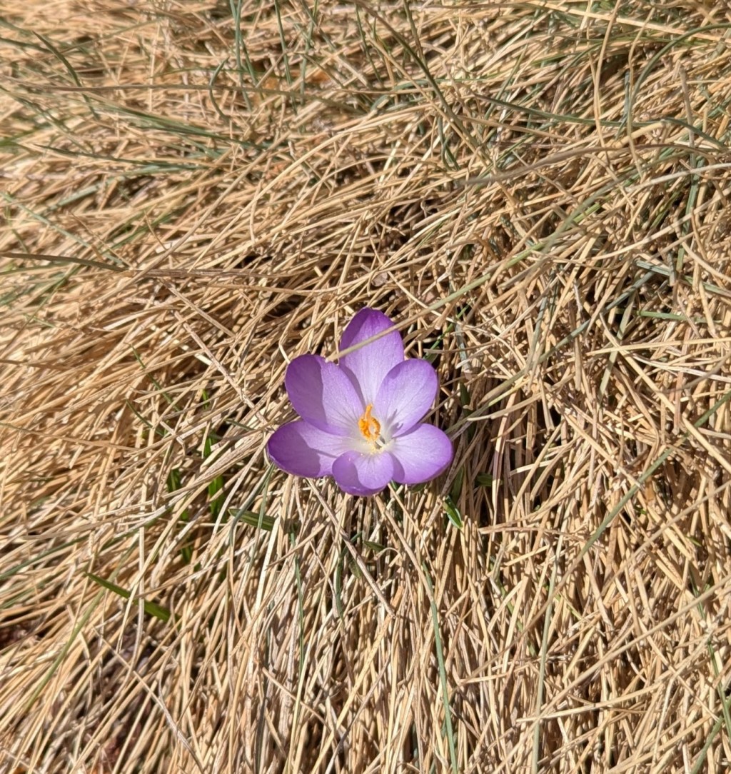 Weekly Quotation: September 17, 2025: The Journey to Wisdom: Life Lessons at&nbsp;Sixty