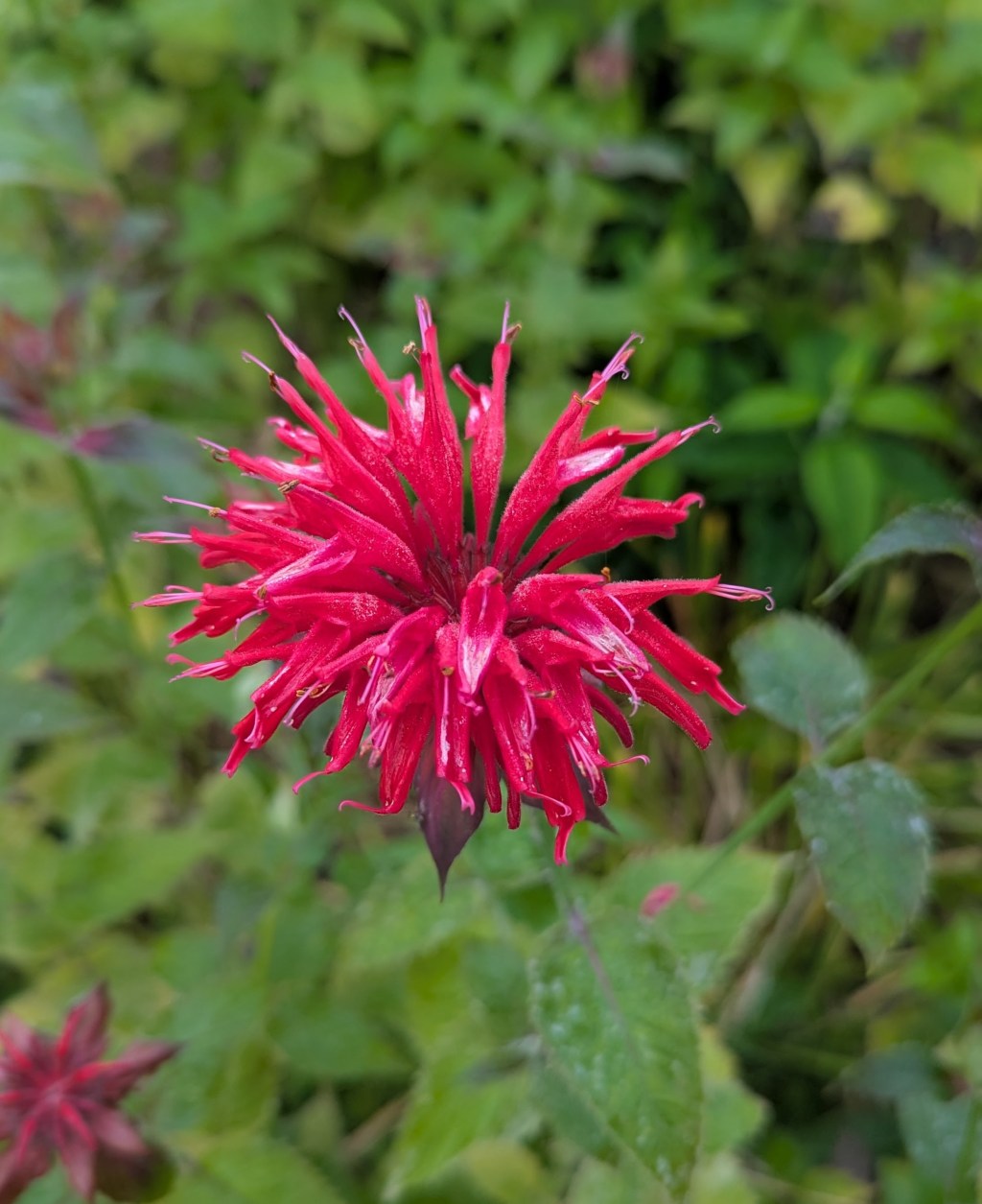 Weekly Quotation: September 24, 2025: Embracing Resilience: Overcoming Life’s&nbsp;Challenges