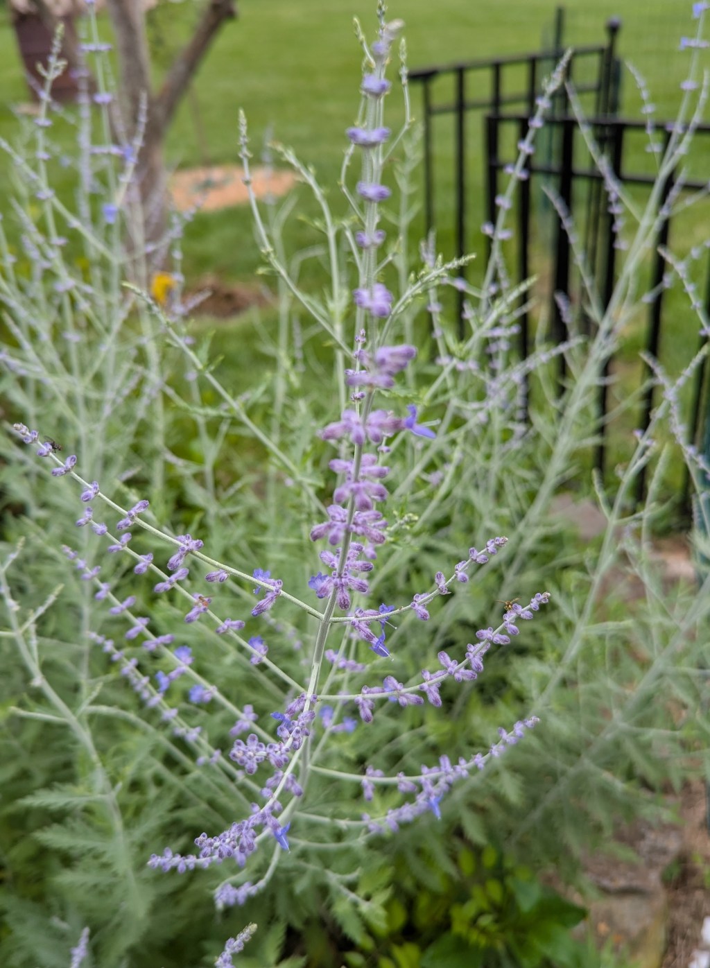 Weekly Quotation, September 2, 2025: “Peeing” On That Proverbial Electric&nbsp;Fence