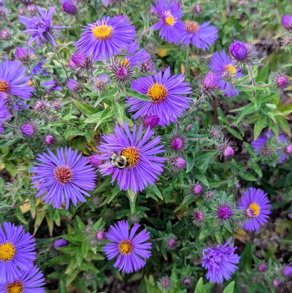 Step-by-Step Procedure for Personal&nbsp;Growth