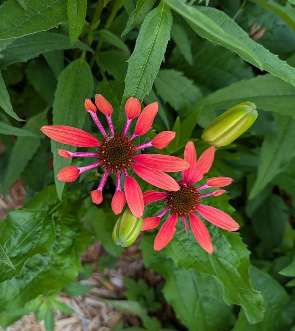 Self-assessment Exercise Four: Practicing the Art of Self-reflection and Evaluating Your Openness for Change 