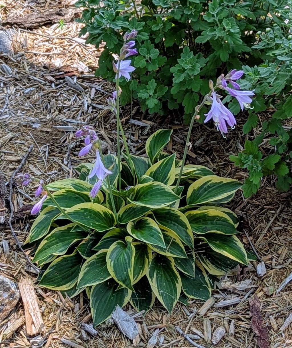 The Personal Growth/Chemical Reaction&nbsp;Analogy